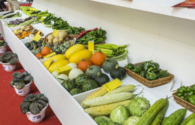 又一波關稅下調(diào)來襲食品進口報關迎來新機遇
