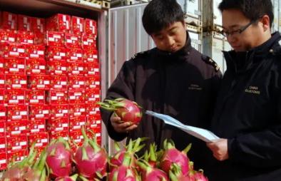關(guān)于食品進口報關(guān)你應該知道的幾點知識
